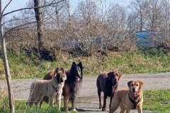 Vier-Freunde-on-Tour